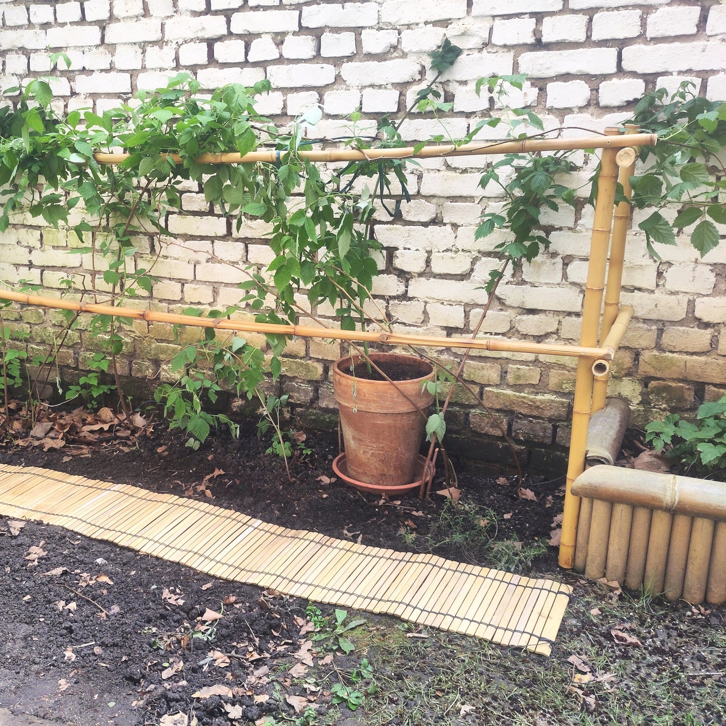 Helle filigrane Bambusmatte