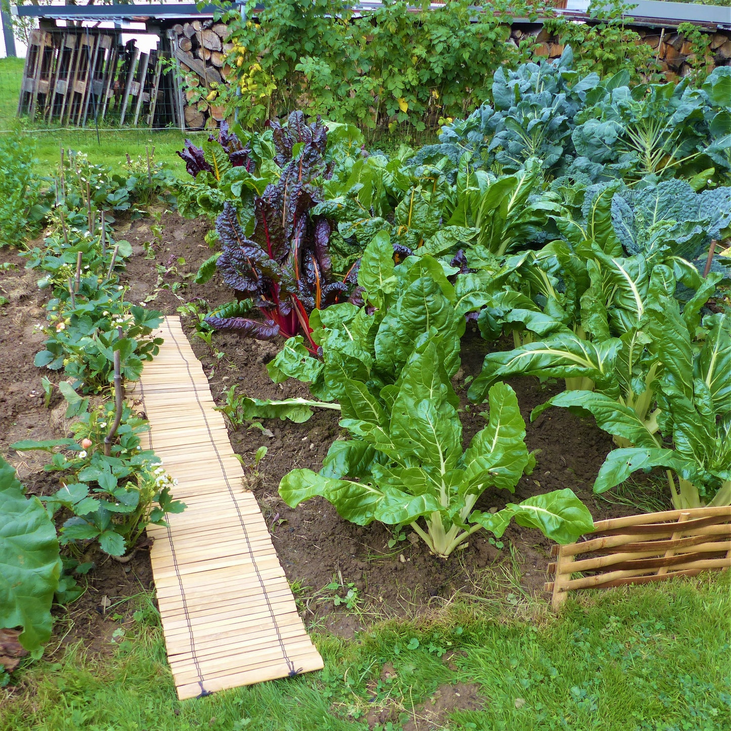 Dunkle filigrane Bambusmatte