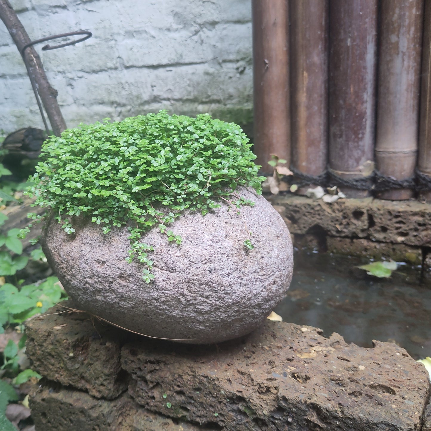 Bepflanzter Blumentopf aus Flussstein.