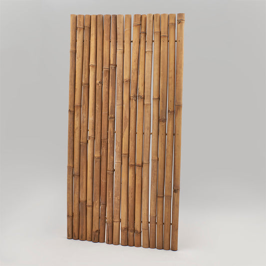 Zu einem Sichtschutz durch einen Bambusstab starr miteinander verbundene beige Bambusrohre