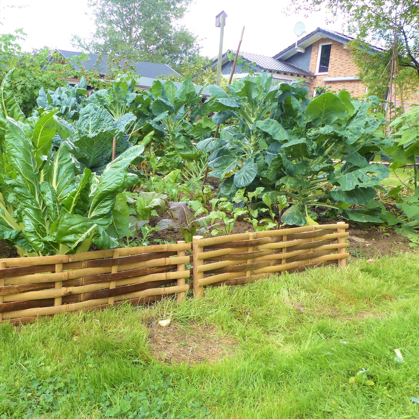 Beeteinfassung aus geflochtenen Bambusleisten