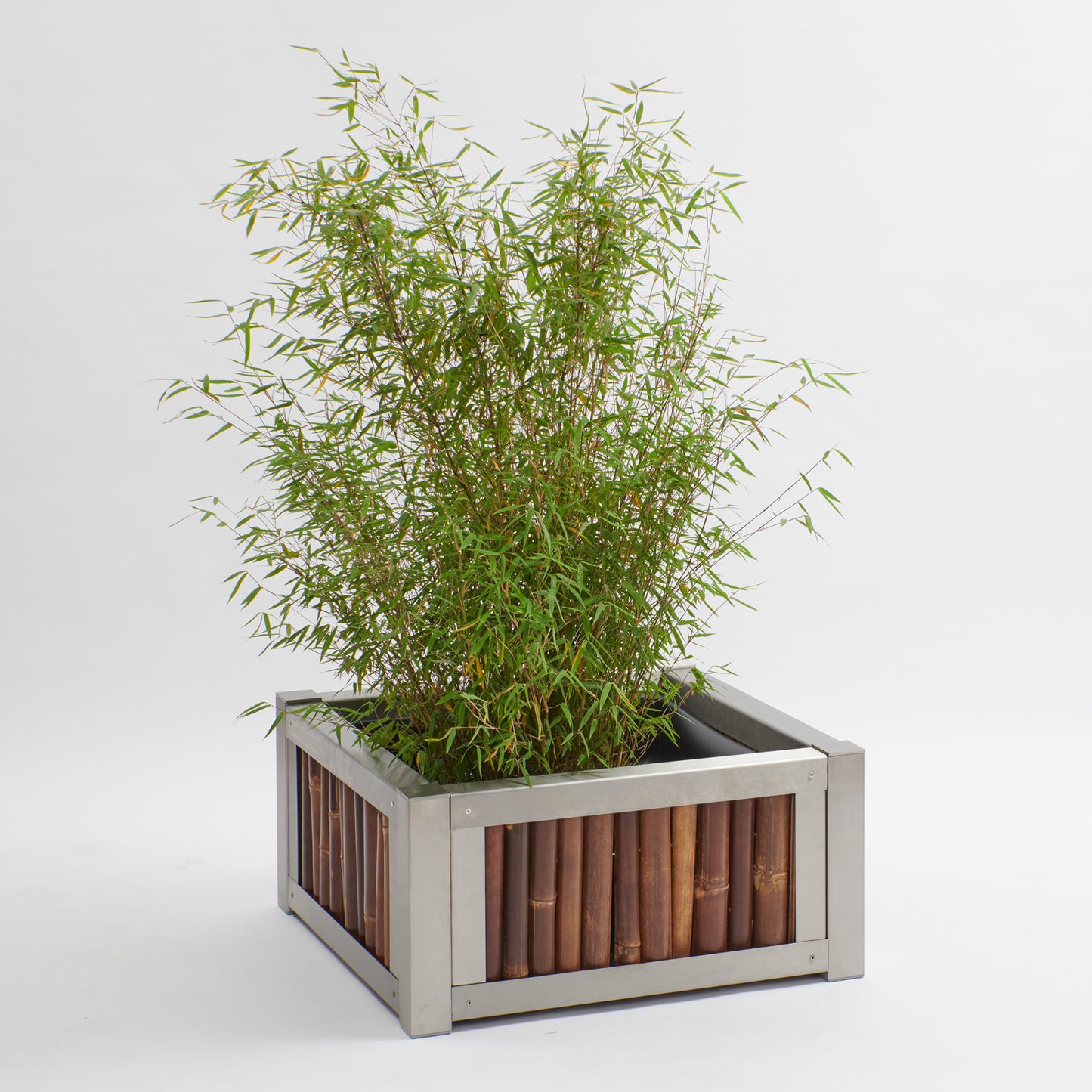 Hochbeet oder Pflanztrog aus dunklem Bambus mit Edelstahlrahmen.