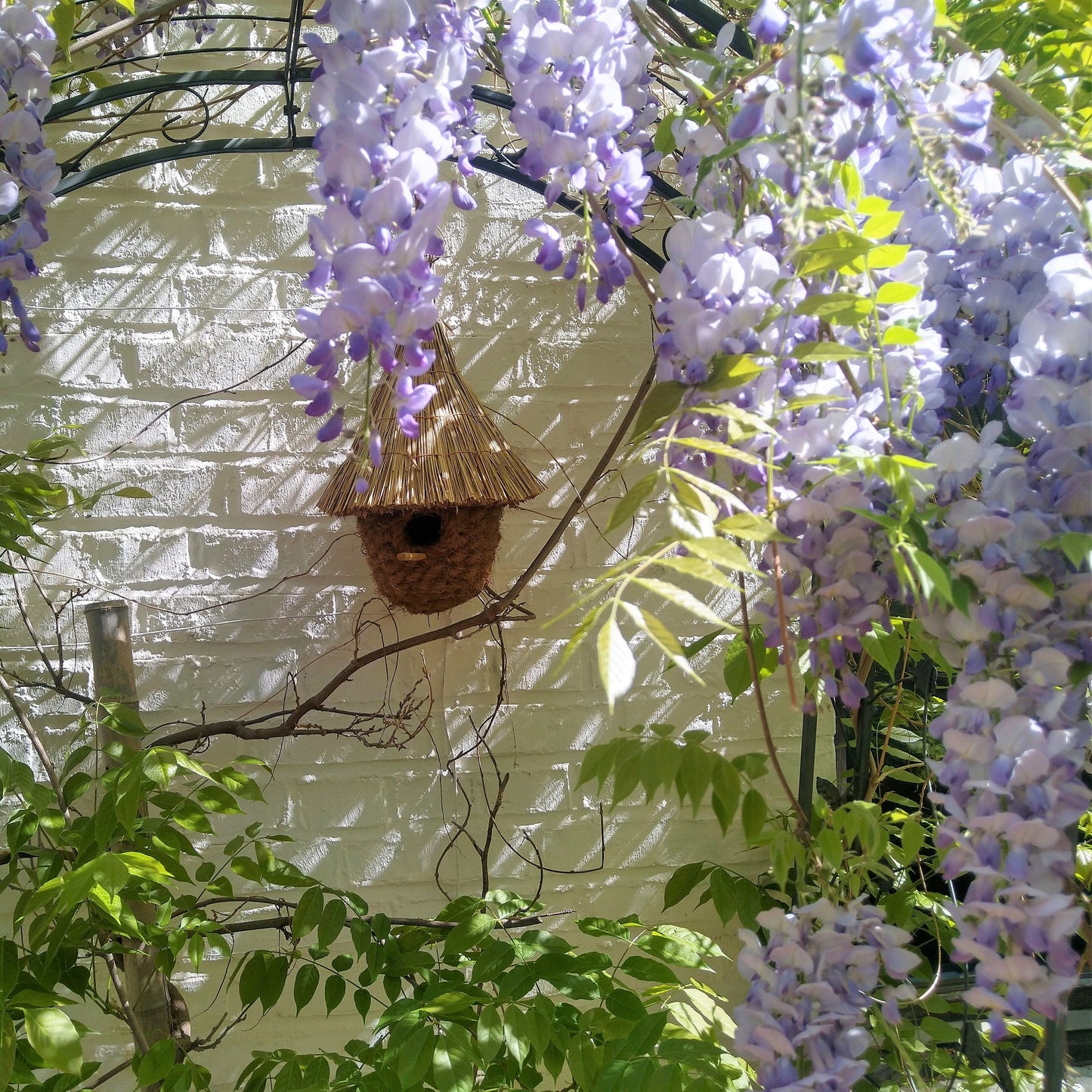 Vogelhaus aus Kokosfasern und Schilf an einem ruhigen Platz im Garten
