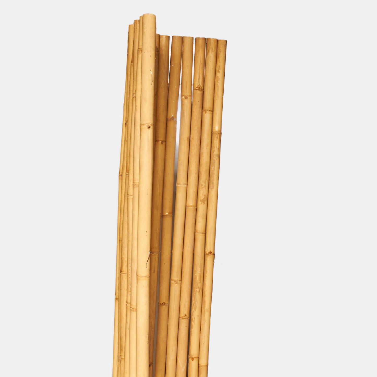 Helle Bambus-Rollmatte / Sichtschutz / Wandverkleidung mit Edelstahl oder verzinktem Draht als Verbund - Produktfoto