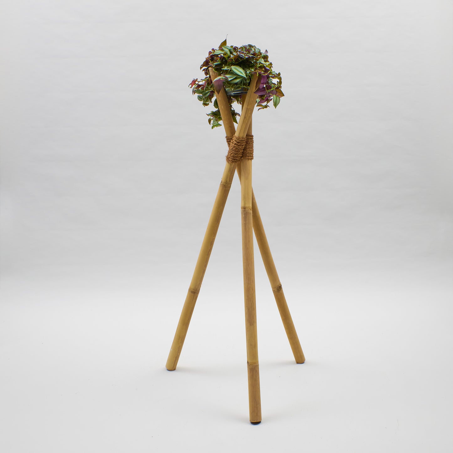 Bambusständer Tripod aus Bambusrohren mit Kokosfaserbindung