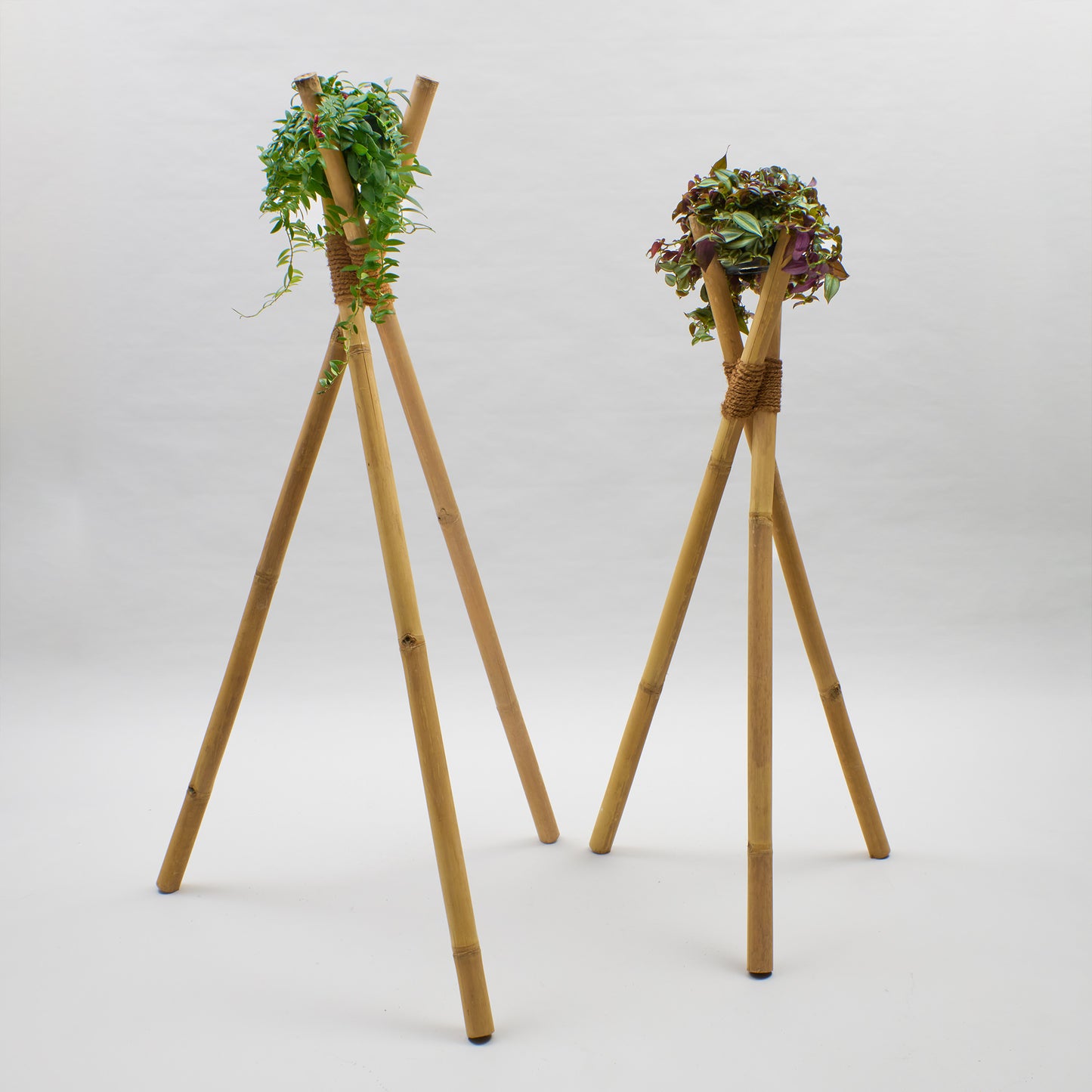 Bambusständer Tripod aus Bambusrohren mit Kokosfaserbindung