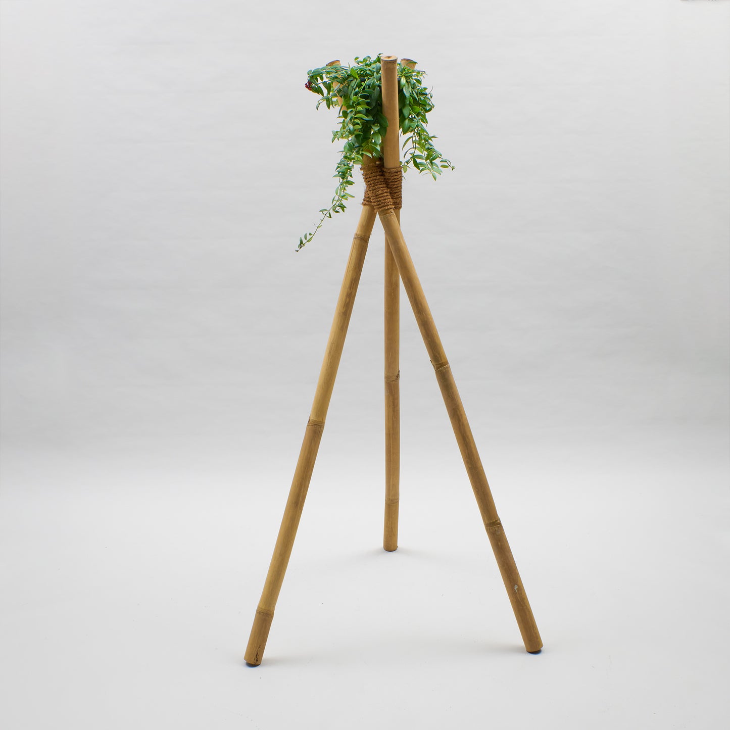 Bambusständer Tripod aus Bambusrohren mit Kokosfaserbindung