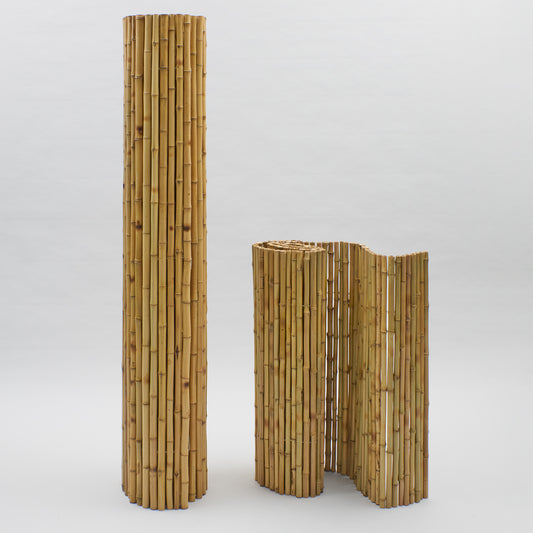 Clôture en rouleau de bambou "Cendani"