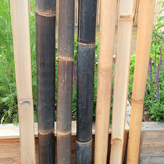 Bambushalbrohre in beige und dunkel braun von der Vorder- und Rückseite
