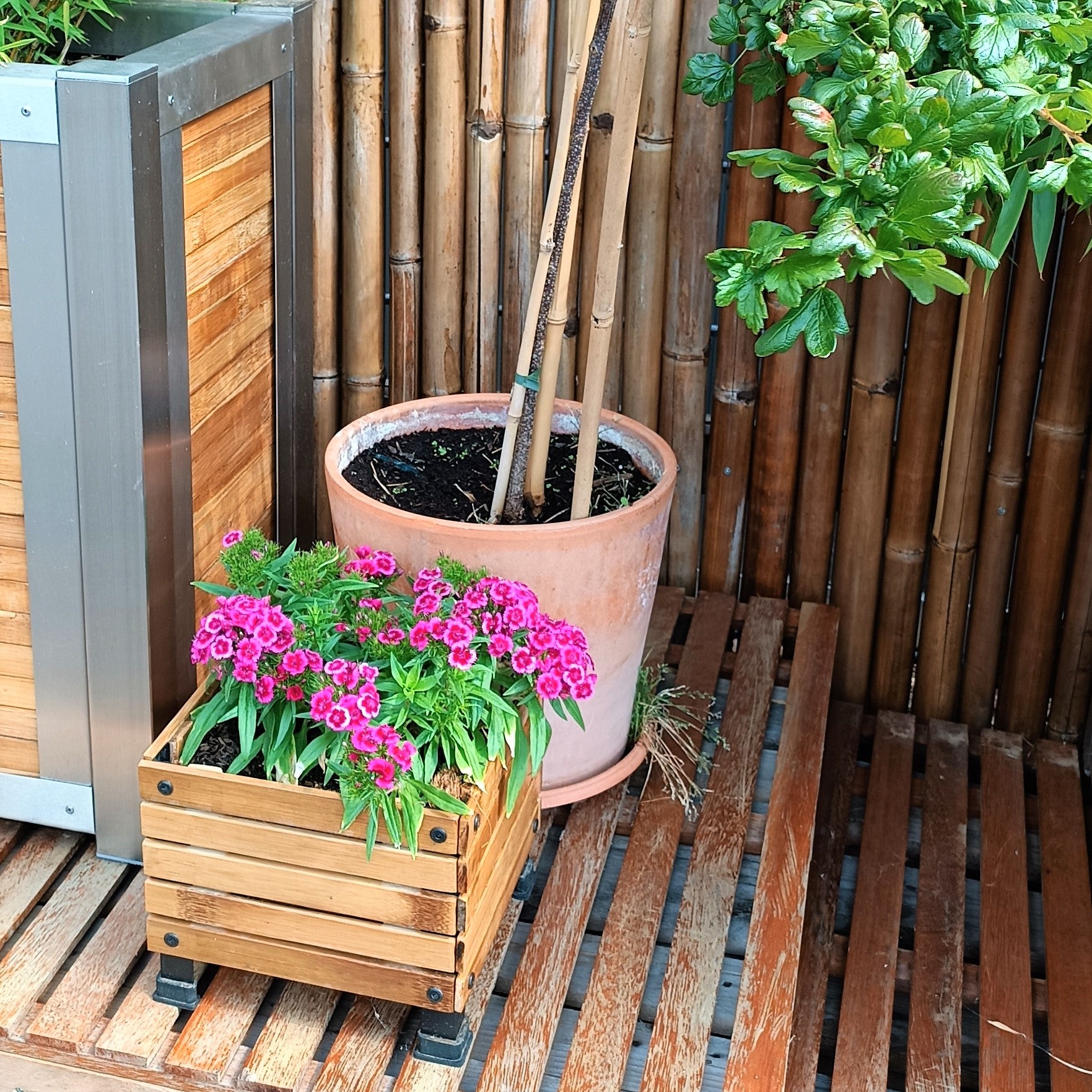 Bambus-Pflanzkästen quadratisch 3er Set – Pflanzkübel Balkon & Terrasse – Bambusbasis