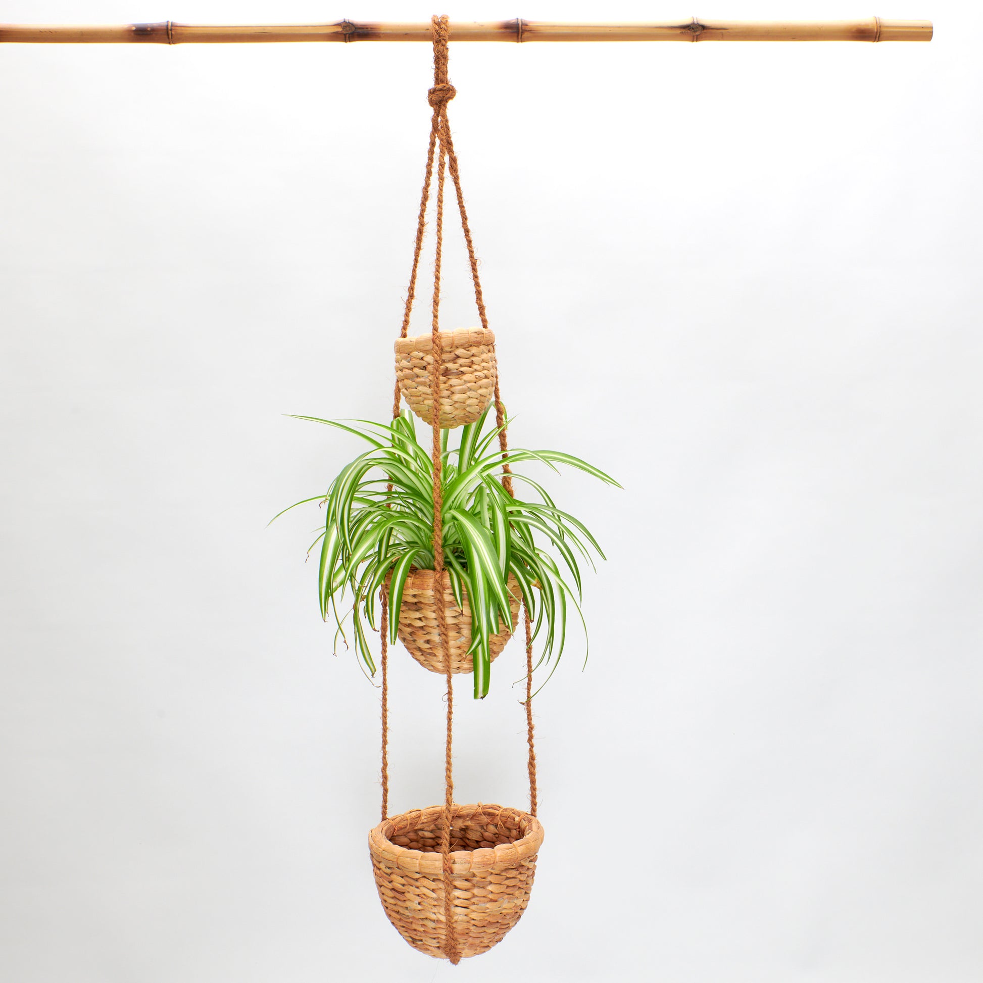 Blumenampel aus drei größer werdenden Töpfen, die mit Kokosfaserseil aufgehängt werden
