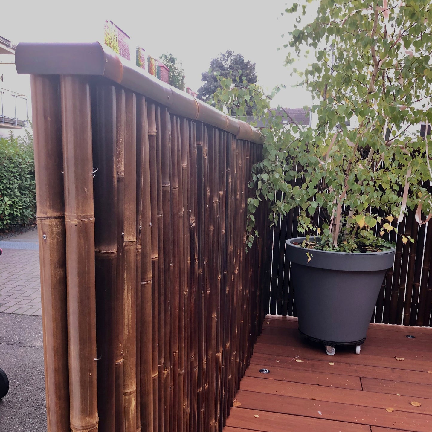 Rollmatte / Sichtschutz aus dunklem Bambus mit einem Dreiviertel-Bambusrohr als Zaunabdeckung - Detailfoto