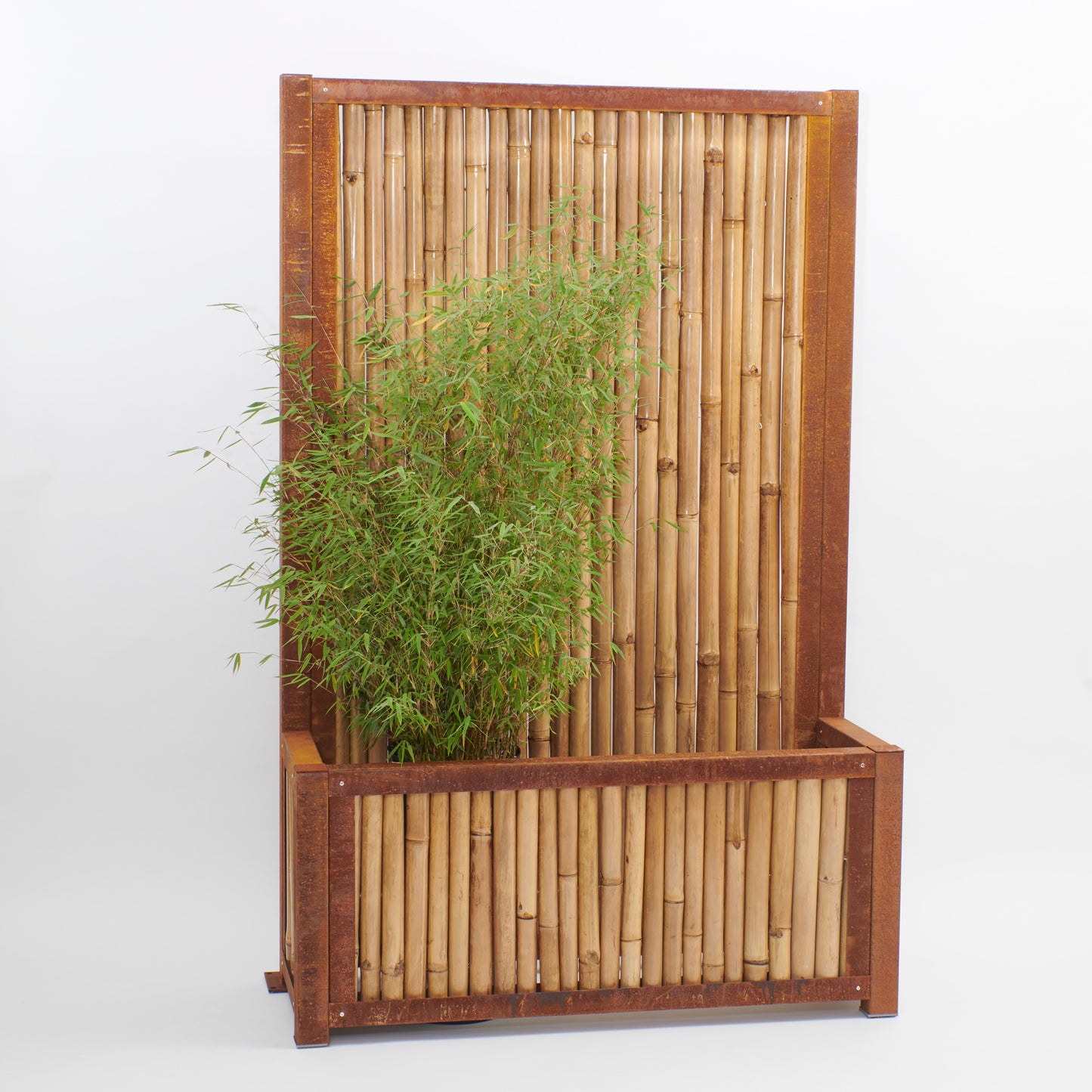 Hochbeet mit Sichtschutz - Cortenstahl mit hellem Bambus als Füllung (verschiedene Größen)