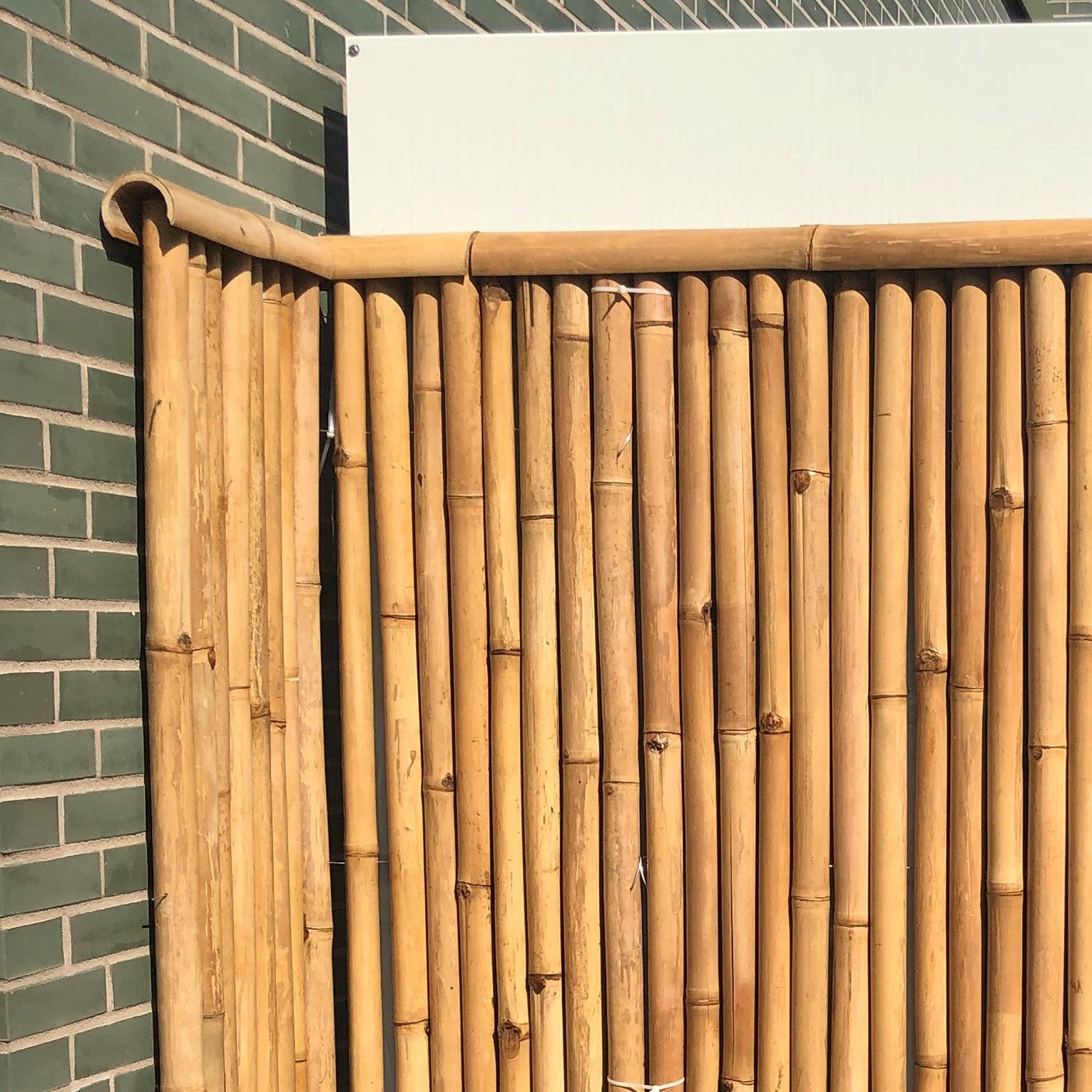 Rollmatte / Sichtschutz aus hellem Bambus mit einem Dreiviertel-Bambusrohr als Zaunabdeckung - Detailfoto
